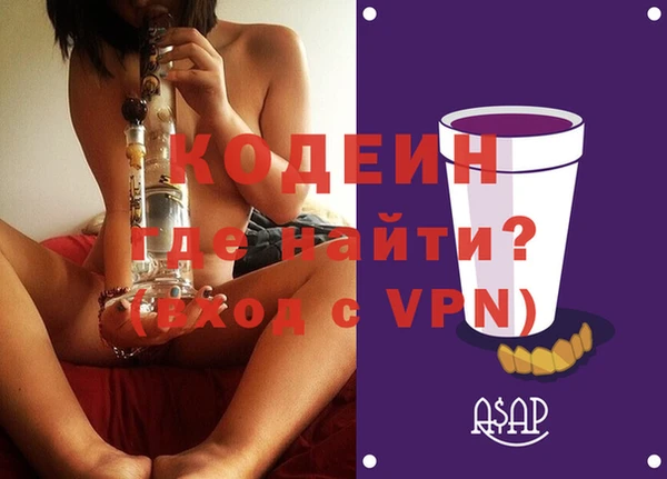 молекула духа Медвежьегорск